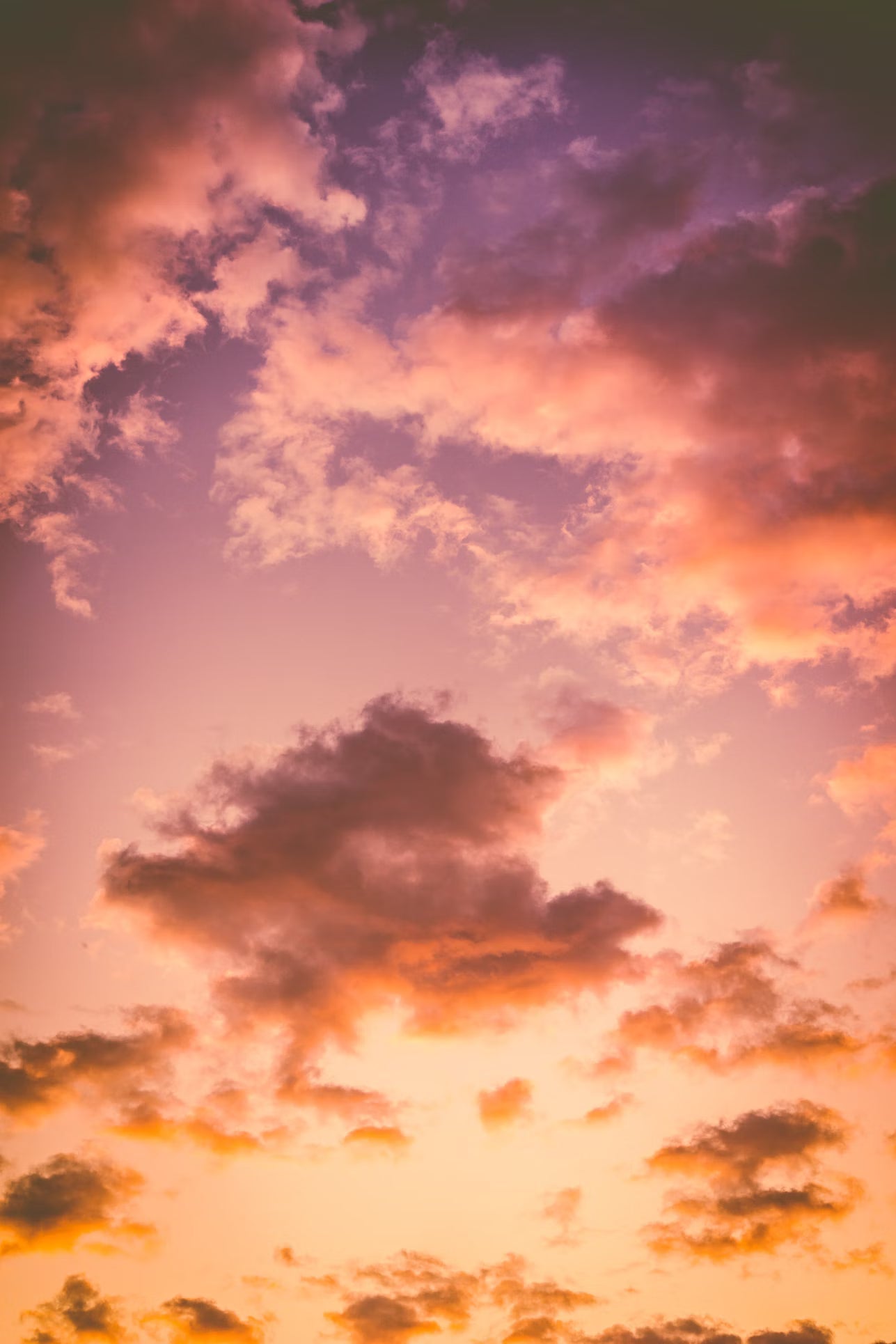 Morning, Noon, or Night? Timing Your Vagus Nerve Stimulation for Maximum Impact