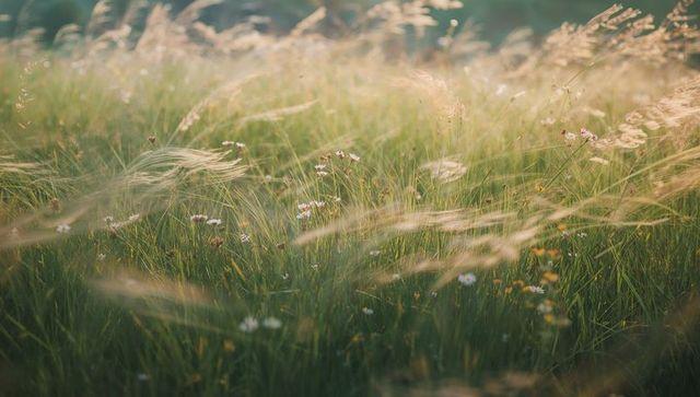 How to Lower Cortisol Naturally: A Science-Backed Daily Routine
